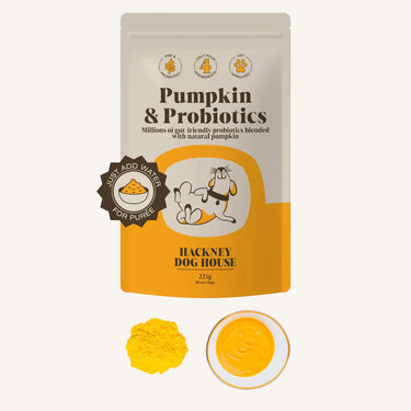 Pumpkin Probiotics Powder - BUDDYBOTTLE